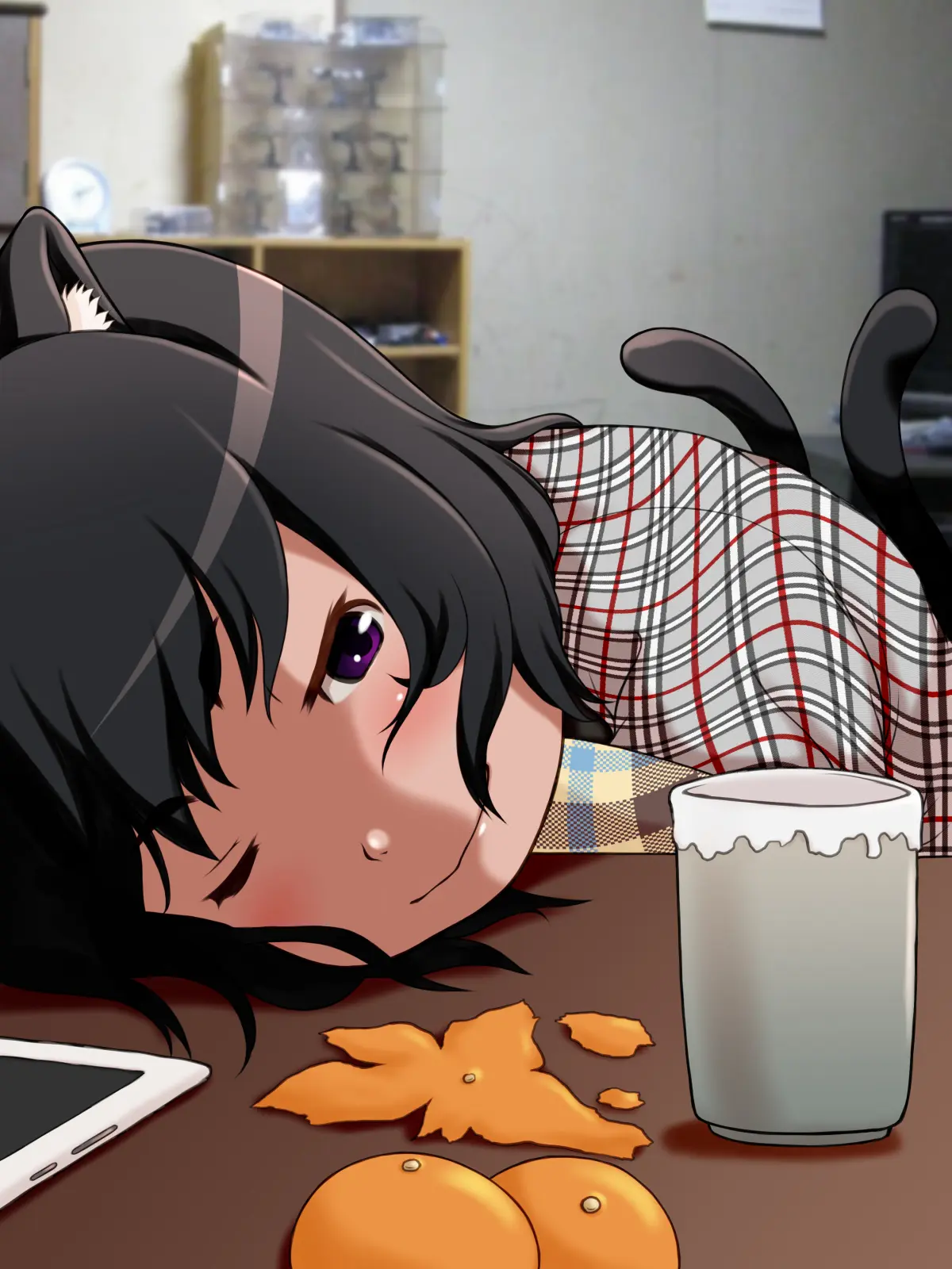 Ie Ni Kaereba Neko Ga Iru | 집에 돌아가면 괭이가 있다.
